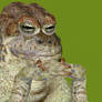 4K UHD RTX ON 3D Groyper